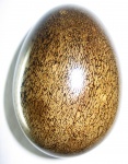 "Яйцо" из кости морской рептилии