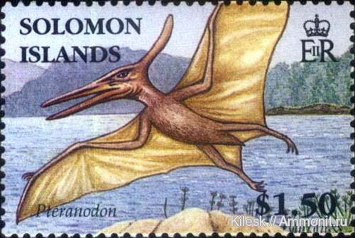 марки, Pteranodon