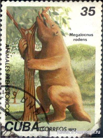 марки, Megalocnus rodens, Megalocnus
