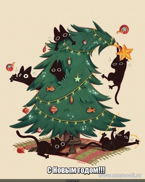 поздравление