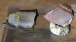 фрагмент зуба (псефодус?) и ромбическая чешуйка из Заборья