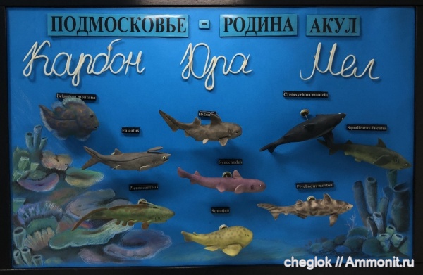 карбон, юра, мел, акулы, палеоарт, Московская область