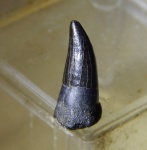 первый этого года