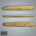 Хвостовой шип ската