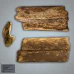 Фрагмент нижней ветви челюсти ихтиозавра (?)