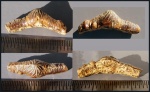Зуб Polyacrodus cf. illingworthi - 1