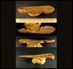 Неидентифицированная кость рептилии.