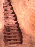 Неизвестная окаменелость. фото 1 (растворенный фрагмент стебля криноидеи ?))