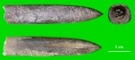Белемнит Simobelus (Liobelus) russiensis (Pavlov, 1892)