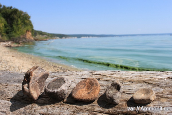 юра, ихтиозавры, мезозой, Ульяновская область, Городищи-Ундоры