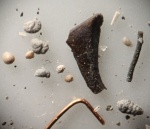 Косточка, фораминиферы и Ко. Городищи. 2025