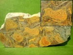 Строматолитовая плитка