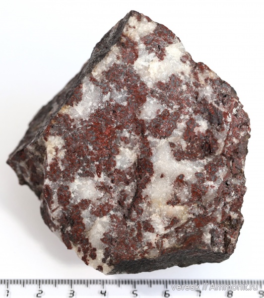 Карелия, Palia septentrionalis, онколиты, Нижний протерозой