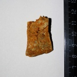 Американские пресноводные черепахи Emydidae Rafinesque, 1815.