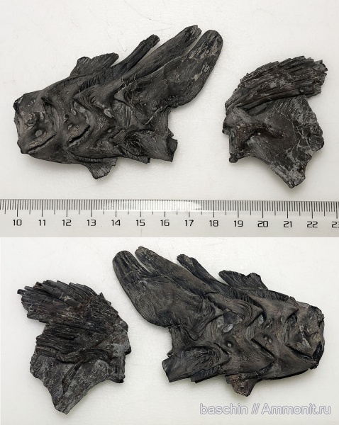 Кабардино-Балкария, Кавказ