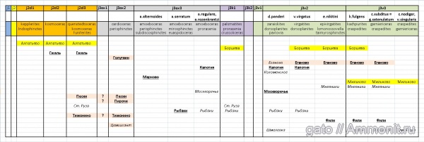 местонахождения, зона Epivirgatites nikitini, зона Dorsoplanites panderi, зона Virgatites virgatus, зона Craspedites subditus, зона Kachpurites fulgens, зона Craspedites nodiger, зона Amoeboceras alternoides, зона Amoeboceras serratum