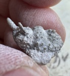 Atractopyge? Cybelella?