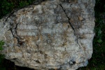 Строматолиты Inzeria. Река Инзер, Ассы.