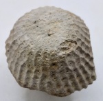 Загадочная штука