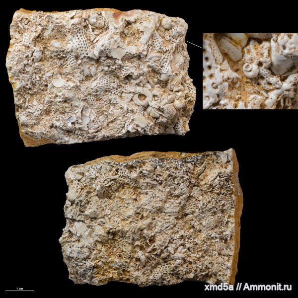 Владимирская область, пермь