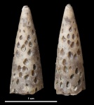 Следы сверления #2547