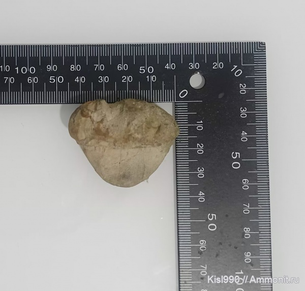 Подскажите что это