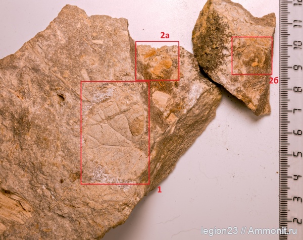 Окрестности Чапаевска. Юра.