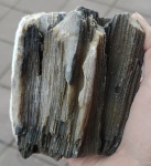 Скелет губки Хететес