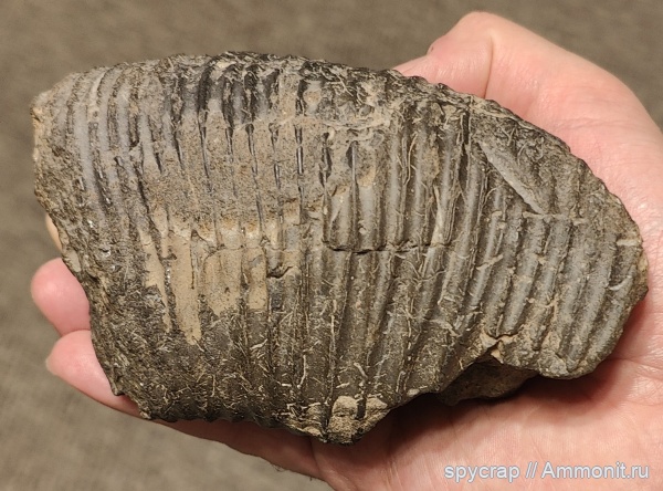 Случайные находки с прогулок по Москве