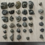 Ёжиков подвезли