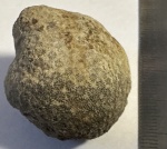 Цветущий камень