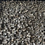 Звёзды моря