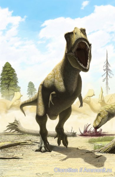 динозавры, мел, Кундур, Tyrannosauridae, Cretaceous