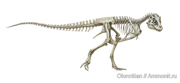 Tyrannosauridae, Utah, Lythronax, Wahweap