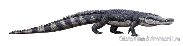крокодилы, Deinosuchus
