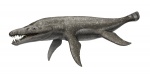 Pliosaurus rossicus