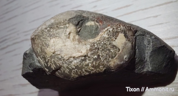 Адербиевка