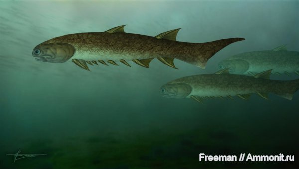 девон, рыбы, Devonian, реконструкция, Euthacanthus, Acanthodii, акантоды, fish
