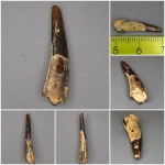 "Грачи прилетели!"