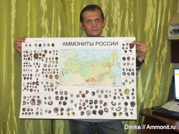 аммониты, Россия, мезозой, палеозой