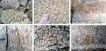 Строматолиты Южного Урала