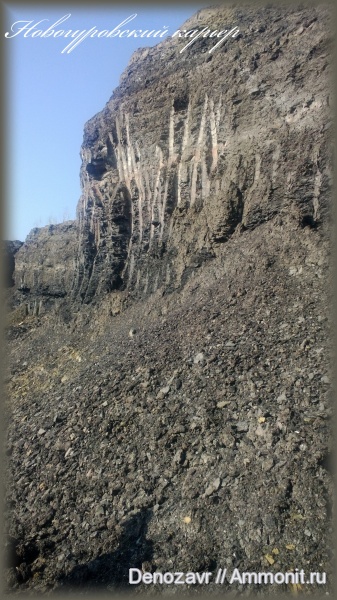 карбон, нижний карбон, стешевский горизонт, Новогуровский карьер