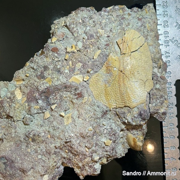 Русский Север