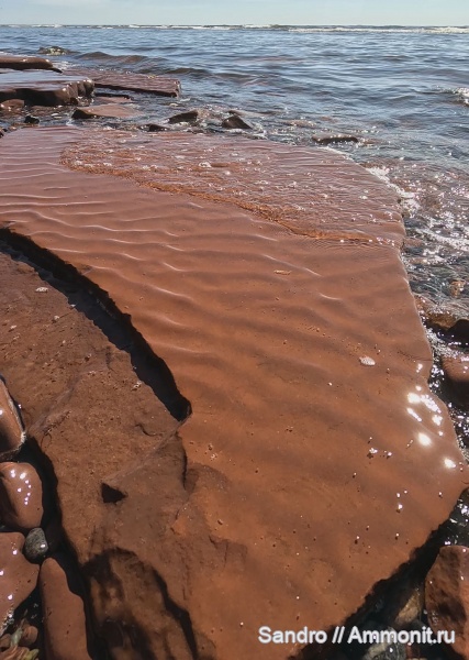 ихнофоссилии, знаки ряби