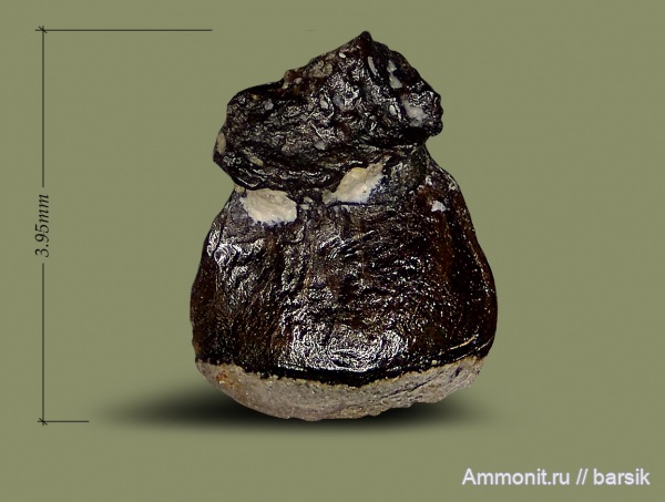 карбон, Московская область, Карьер Заборье