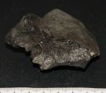фрагмент одной из костей черепа ихтиозавра