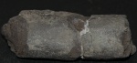 фрагмент кости ихтиозавра