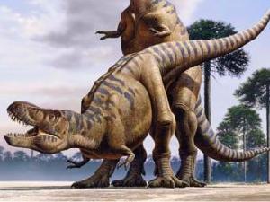 Вечная любовь: Американский палеонтолог рассказал о сексе динозавров — FURFUR