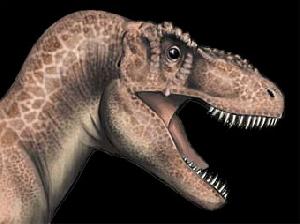Палеонтологи научились определять пол динозавров
