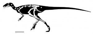 В ЮАР нашли древнейшего птицетазового динозавра